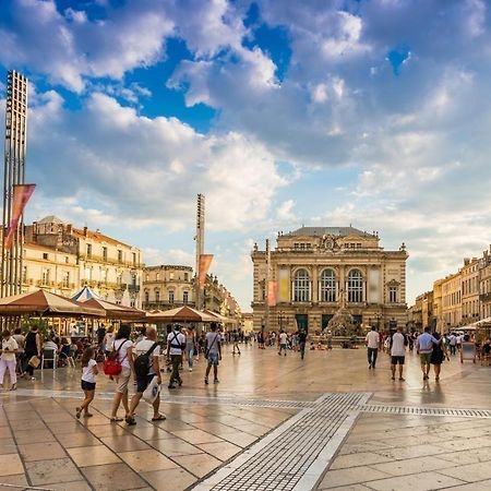 Le Havre De Paix Montpellierain - Terrasse Et Parking Prive Διαμέρισμα Εξωτερικό φωτογραφία