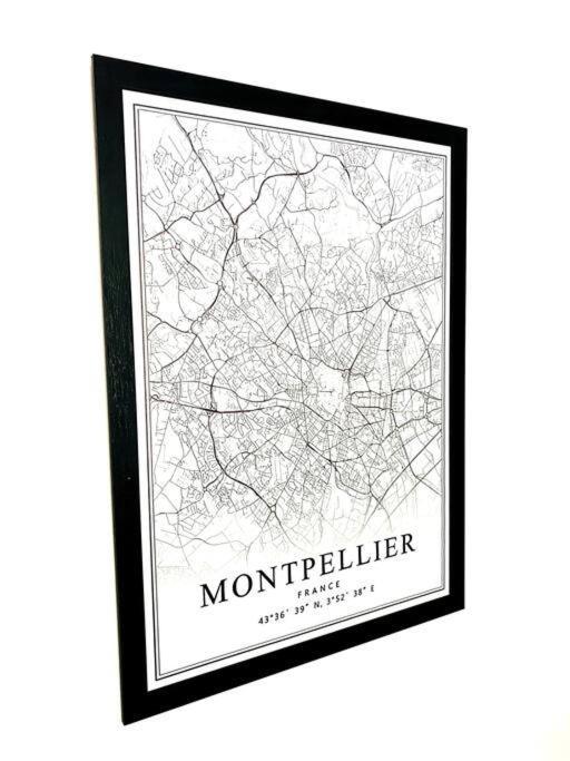 Le Havre De Paix Montpellierain - Terrasse Et Parking Prive Διαμέρισμα Εξωτερικό φωτογραφία