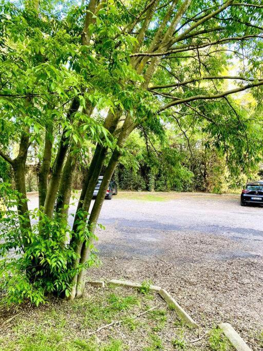 Le Havre De Paix Montpellierain - Terrasse Et Parking Prive Διαμέρισμα Εξωτερικό φωτογραφία