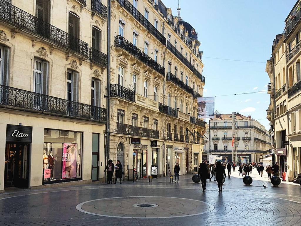 Le Havre De Paix Montpellierain - Terrasse Et Parking Prive Διαμέρισμα Εξωτερικό φωτογραφία
