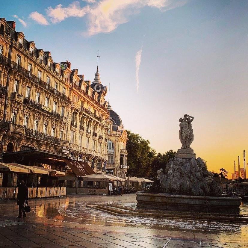 Le Havre De Paix Montpellierain - Terrasse Et Parking Prive Διαμέρισμα Εξωτερικό φωτογραφία